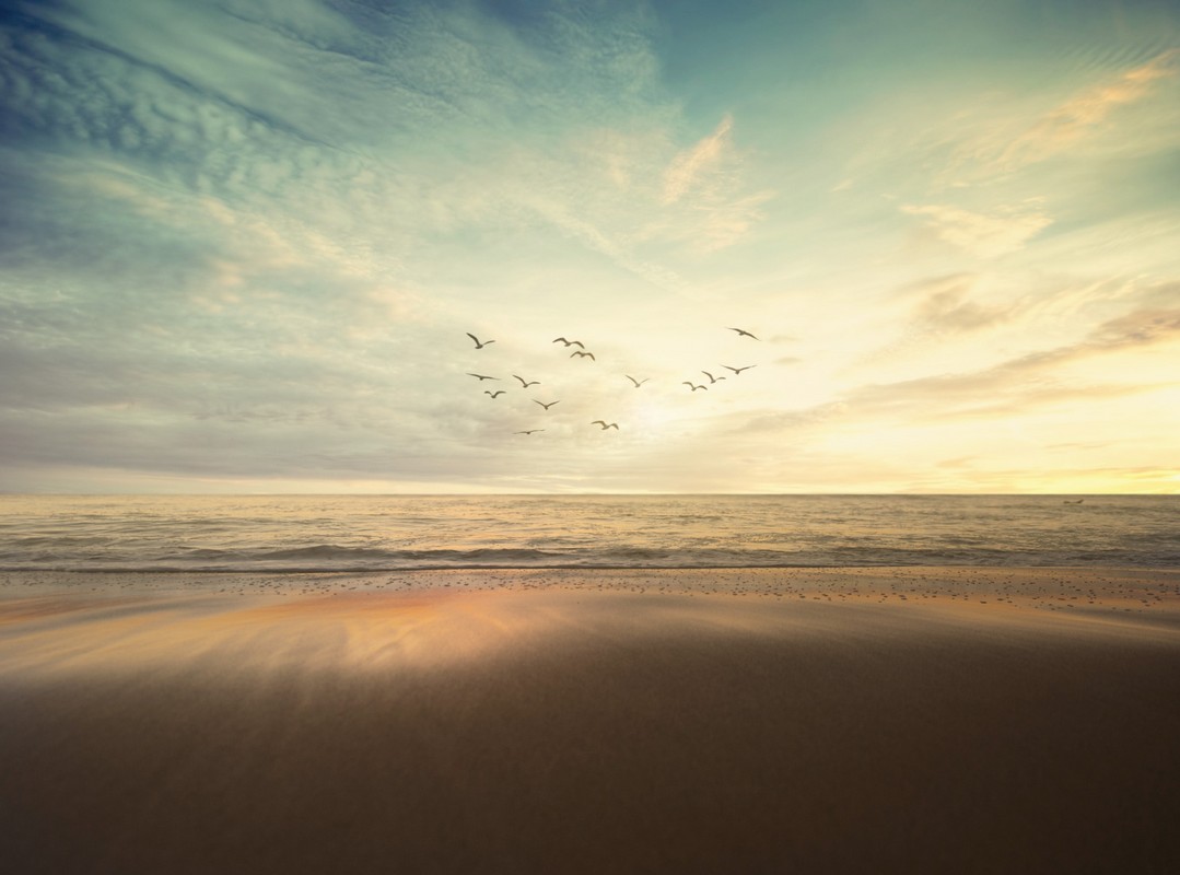 frank-mckenna-CSeCKeW4TM0-unsplash